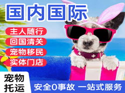 威海大水泊机场物流国际宠物托运 【国
